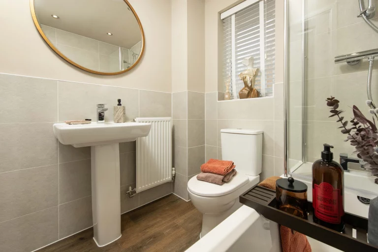 Image carousel 3552881 1772161367