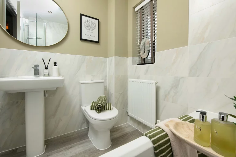 Image carousel 3552906 1772161369