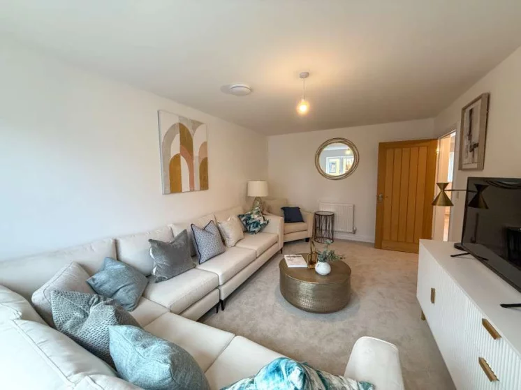 Image carousel 3552916 1772244105