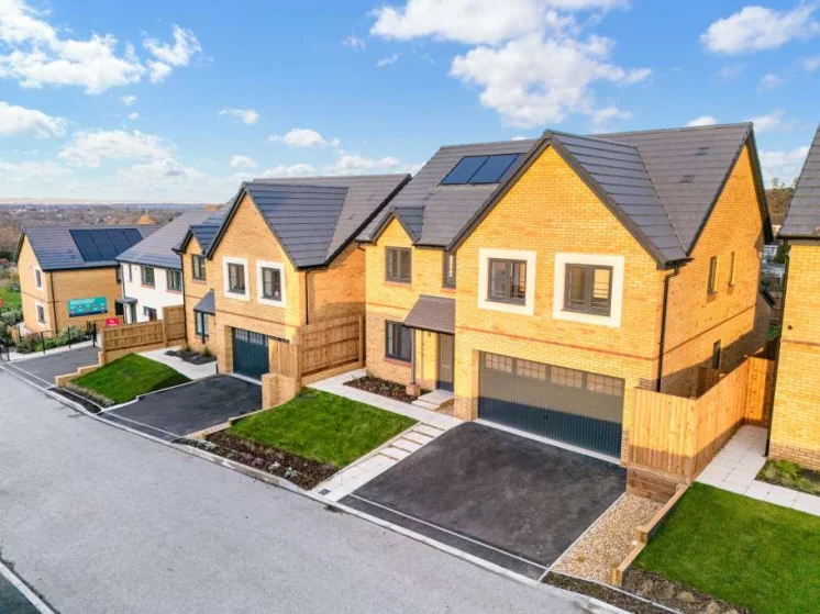 Image carousel 3552931 1772244106