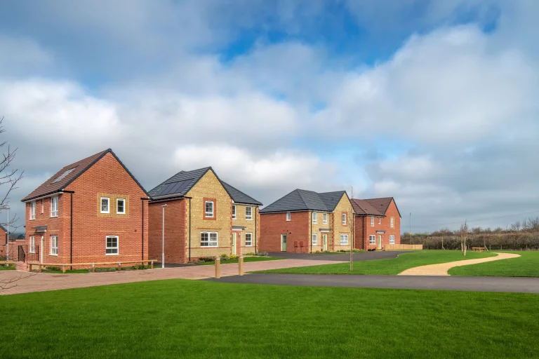 Image carousel 3553491 1772247659