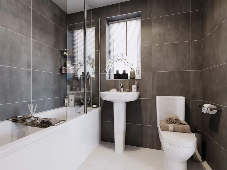 Image carousel 3553581 1772247770