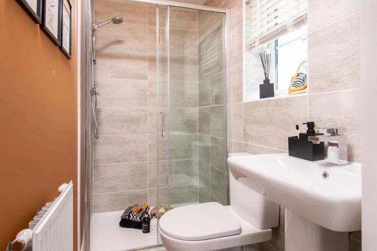 Image carousel 3553641 1772247775