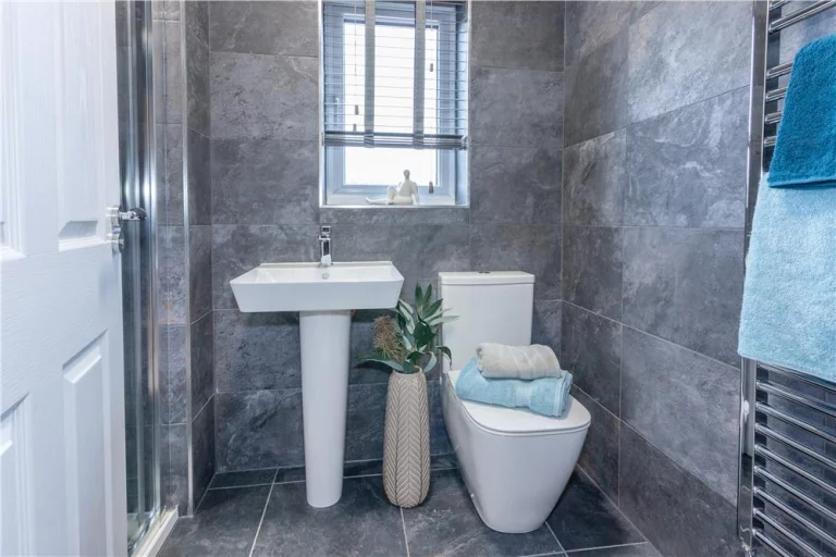 Image carousel 3553911 1772330729