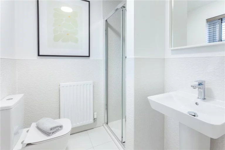 Image carousel 3553926 1772330730