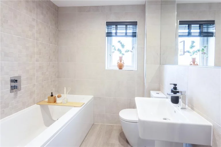 Image carousel 3554026 1772330753