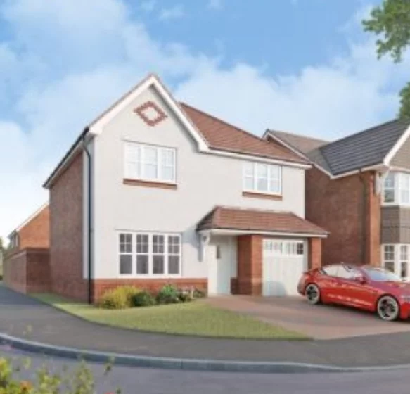 Image carousel 3554271 1772440866