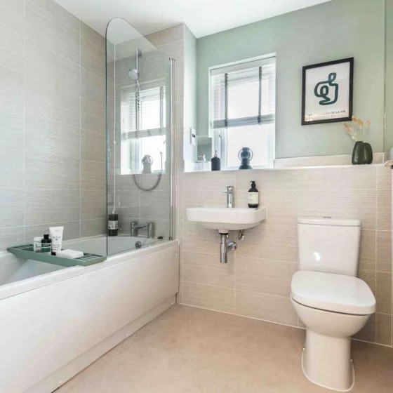 Image carousel 3554311 1772503259