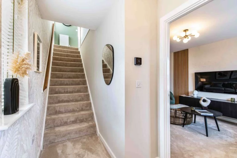 Image carousel 3554371 1772503260