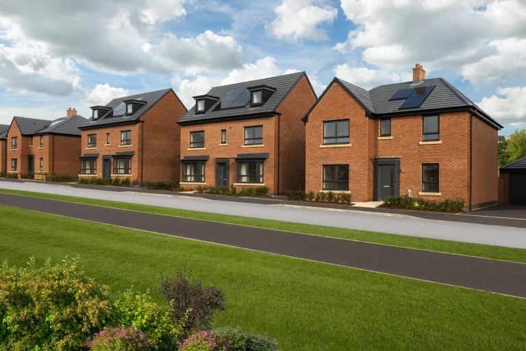 Image carousel 3554501 1772506854