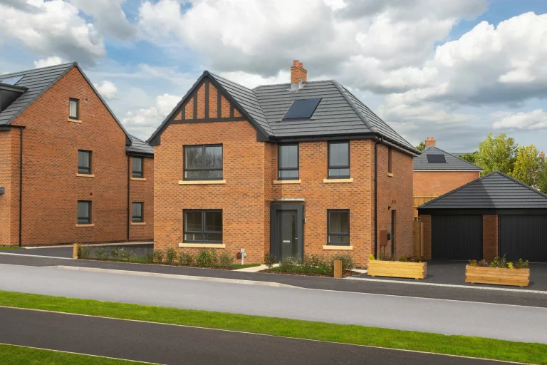 Image carousel 3554546 1772506960