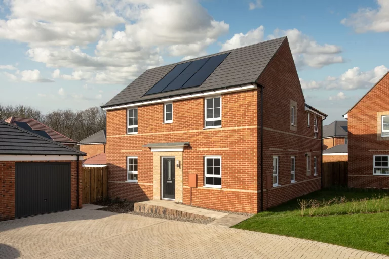 Image carousel 3554556 1772507027