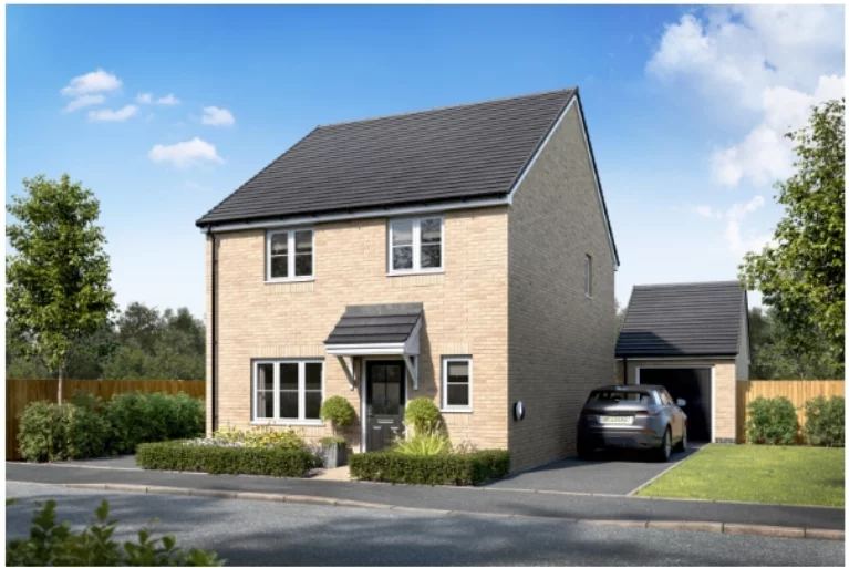 Image carousel 3554666 1772549636