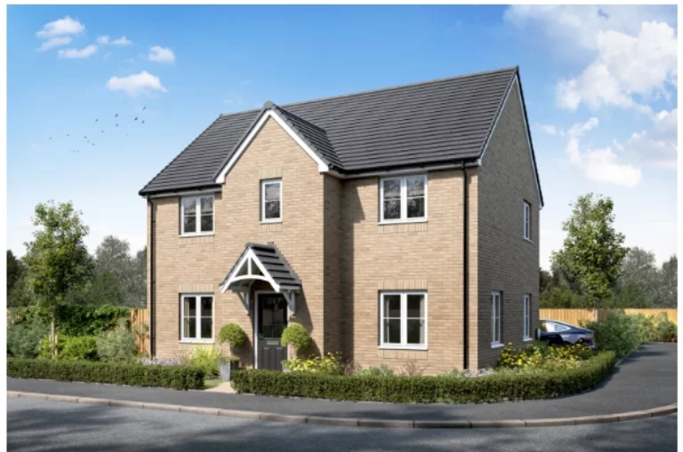 Image carousel 3554676 1772549735