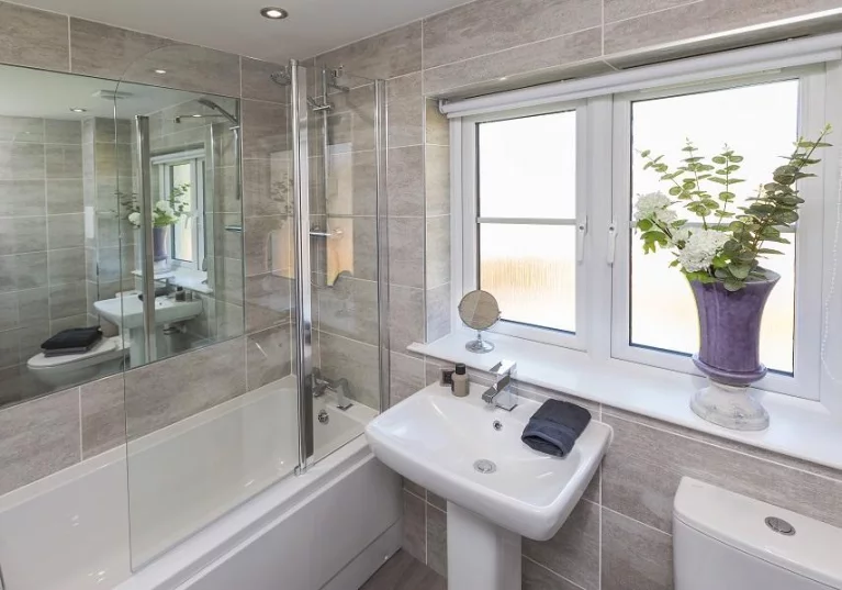 Image carousel 3554881 1772593458