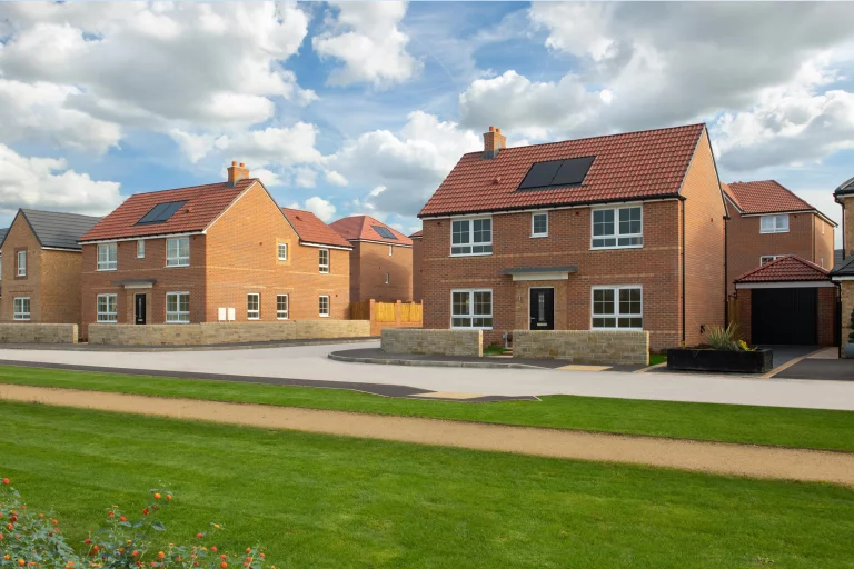 Image carousel 3555686 1772766041