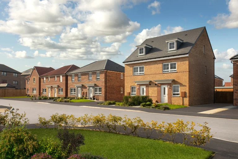 Image carousel 3555691 1772766046