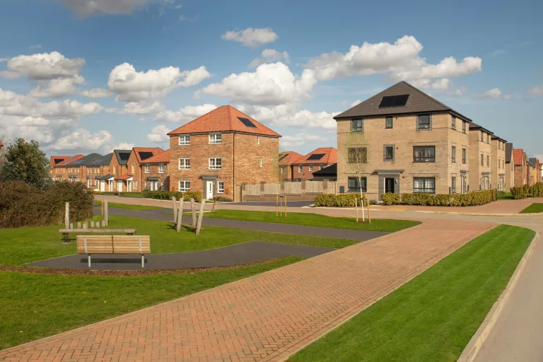 Image carousel 3555696 1772766046