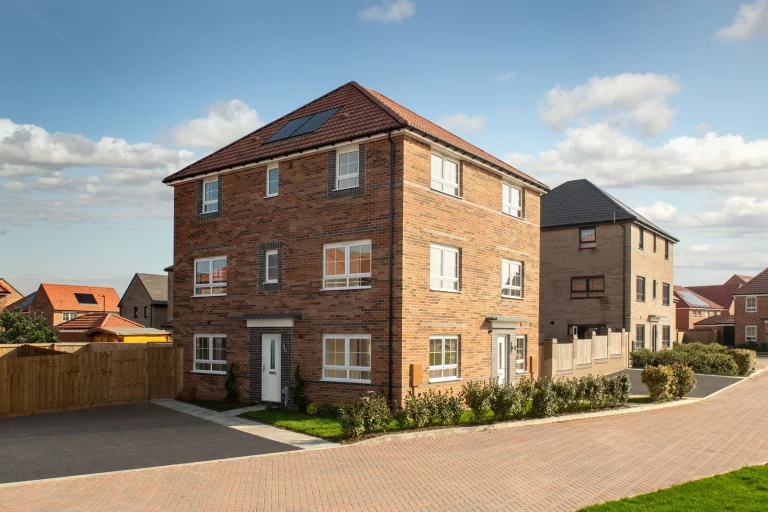 Image carousel 3555731 1772766159