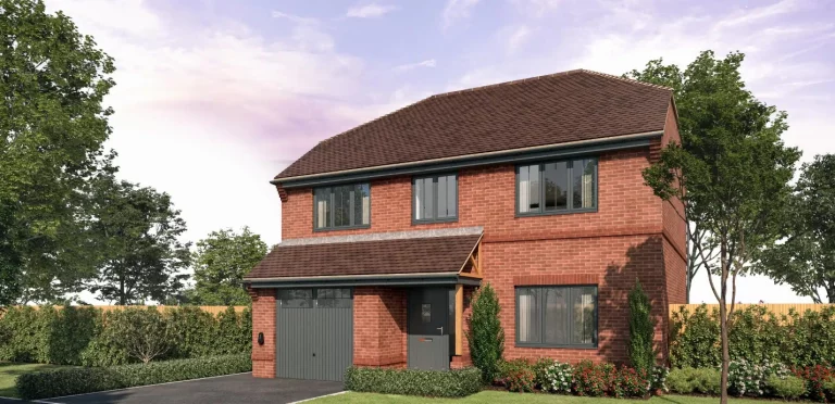 Image carousel 3555806 1772795428