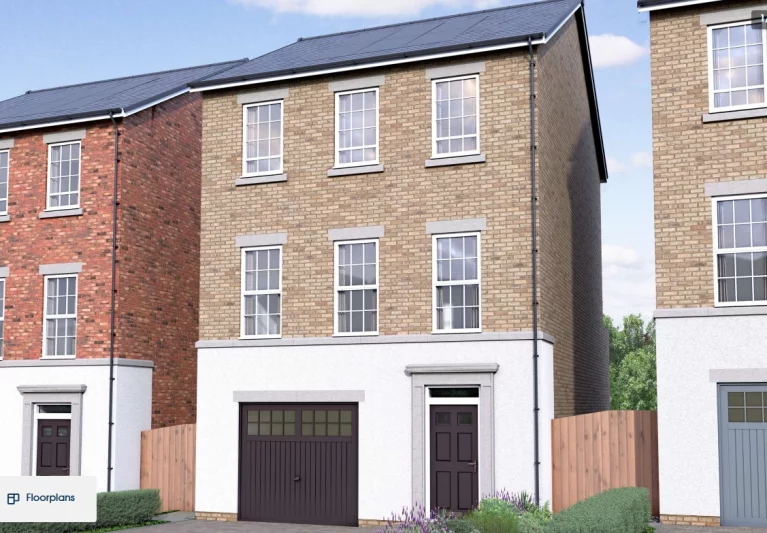 Image carousel 3555886 1772797041