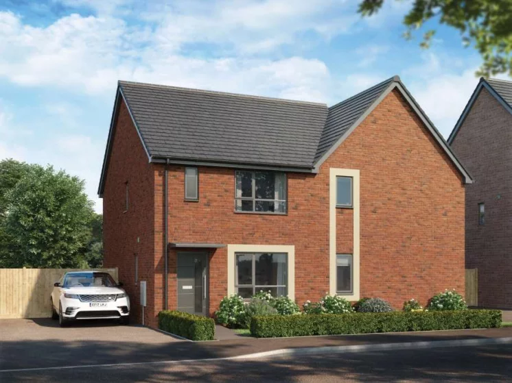 Image carousel 3556026 1772848893