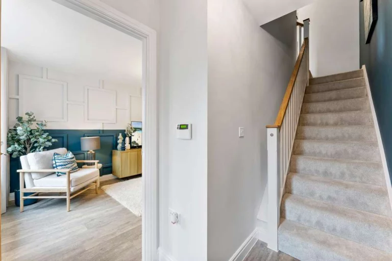 Image carousel 3556086 1772848894