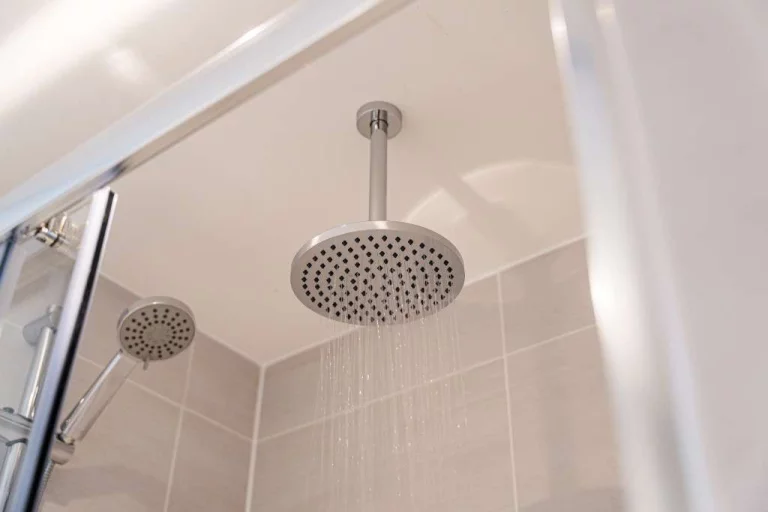 Image carousel 3556141 1772848895