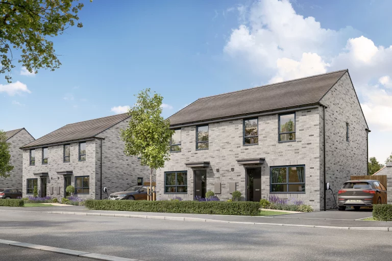 Image carousel 3556221 1772852483