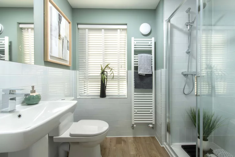 Image carousel 3556356 1772852556