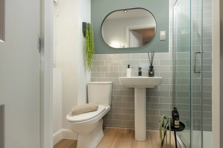 Image carousel 3556406 1772852581