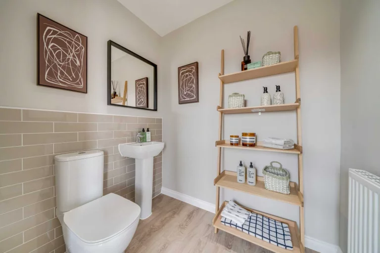 Image carousel 3556641 1772859659