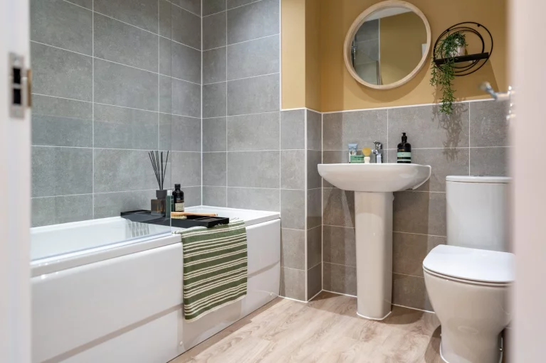 Image carousel 3556731 1772859677