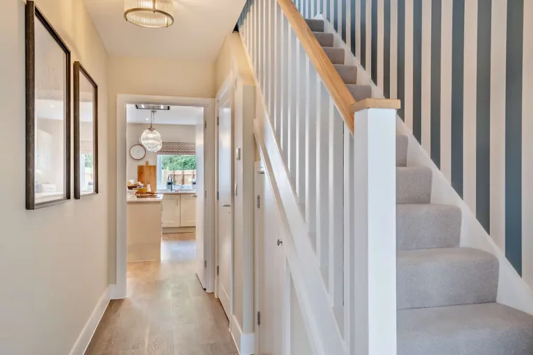 Image carousel 3557051 1773015226