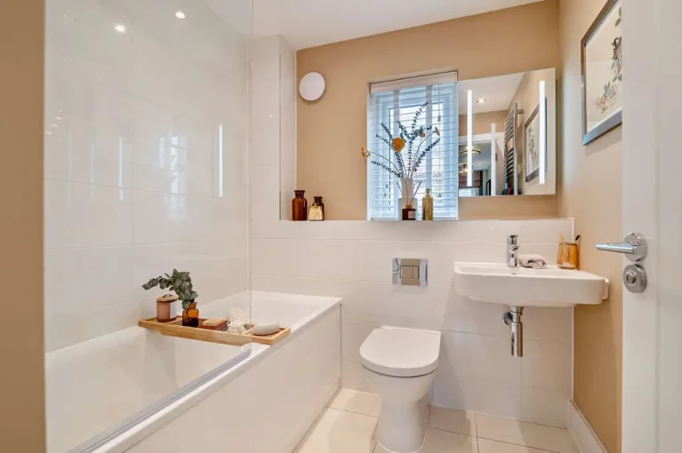 Image carousel 3557111 1773015344