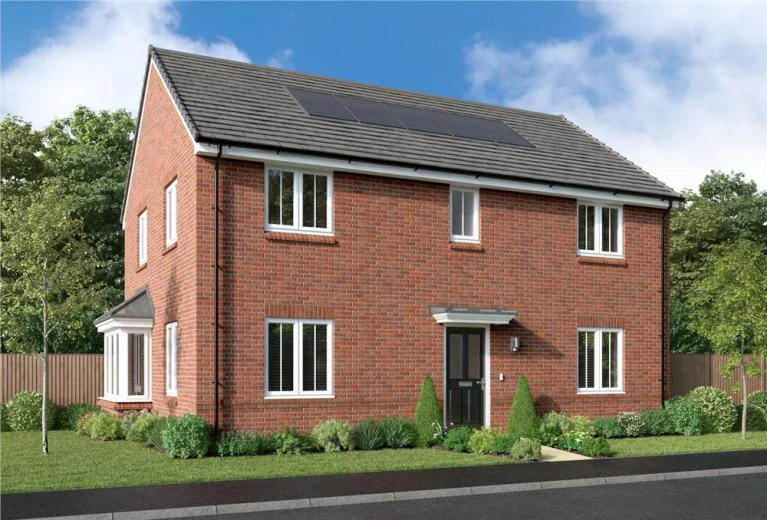 Image carousel 3557366 1773022674