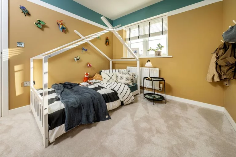 Image carousel 3557411 1773022679