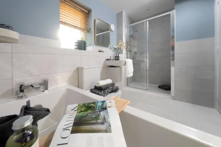 Image carousel 3557416 1773022679