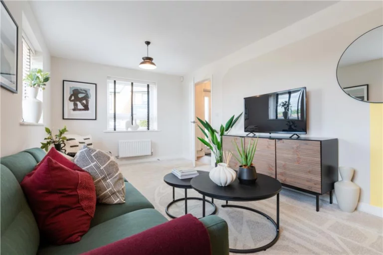 Image carousel 3557456 1773022838