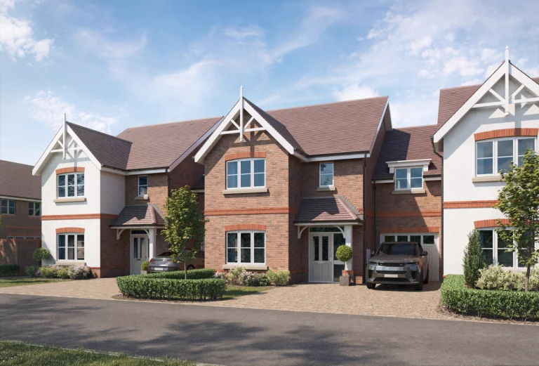 Image carousel 3557931 1773044042