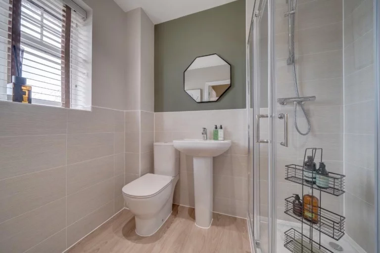 Image carousel 3558451 1773205257