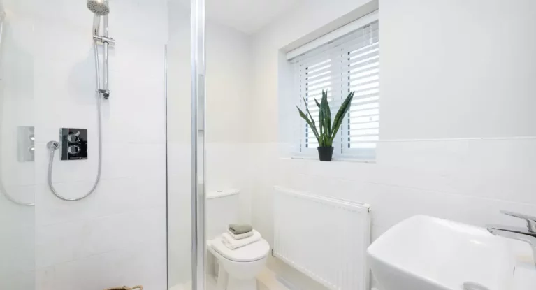 Image carousel 3558516 1773246916