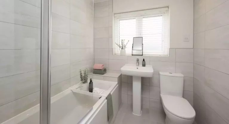 Image carousel 3558531 1773246917