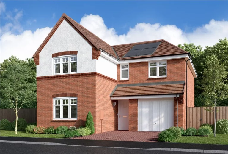 Image carousel 3558776 1775268999