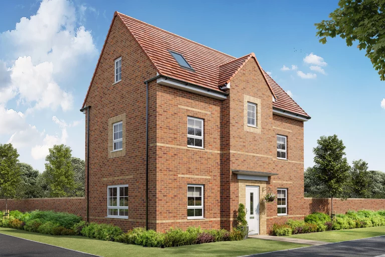 Image carousel 3559301 1773284549