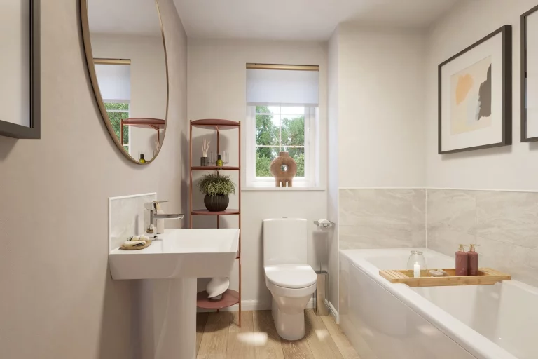 Image carousel 3559401 1773284554