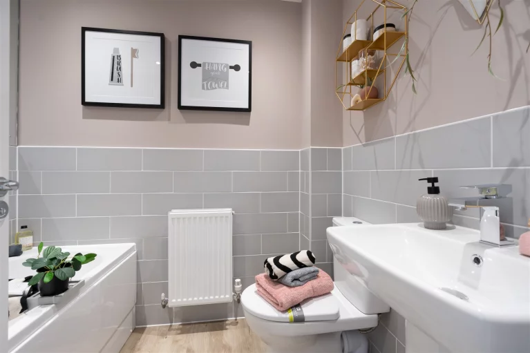 Image carousel 3559441 1773284555