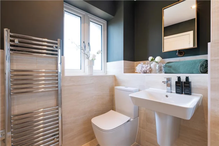 Image carousel 3559676 1773367685