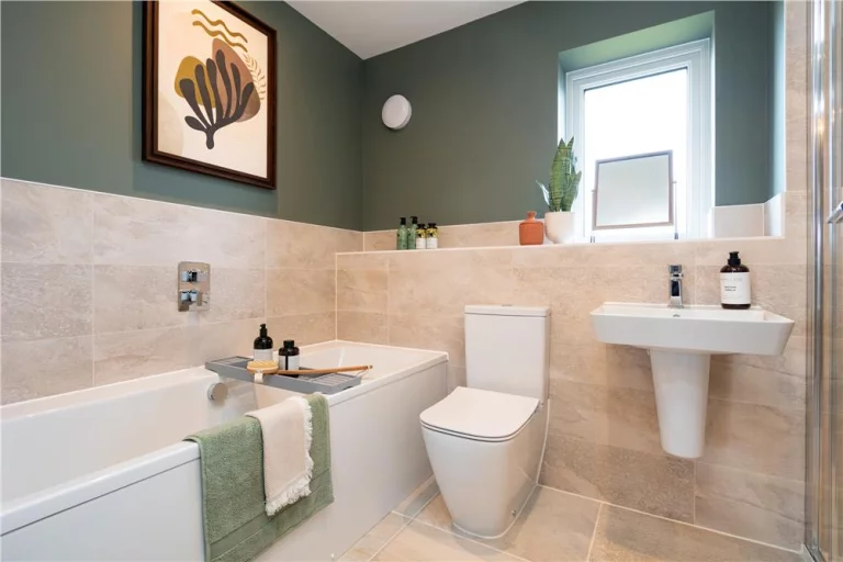 Image carousel 3559716 1773367687