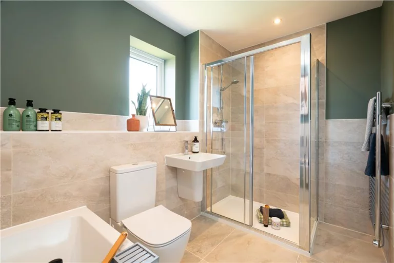 Image carousel 3559721 1773367687